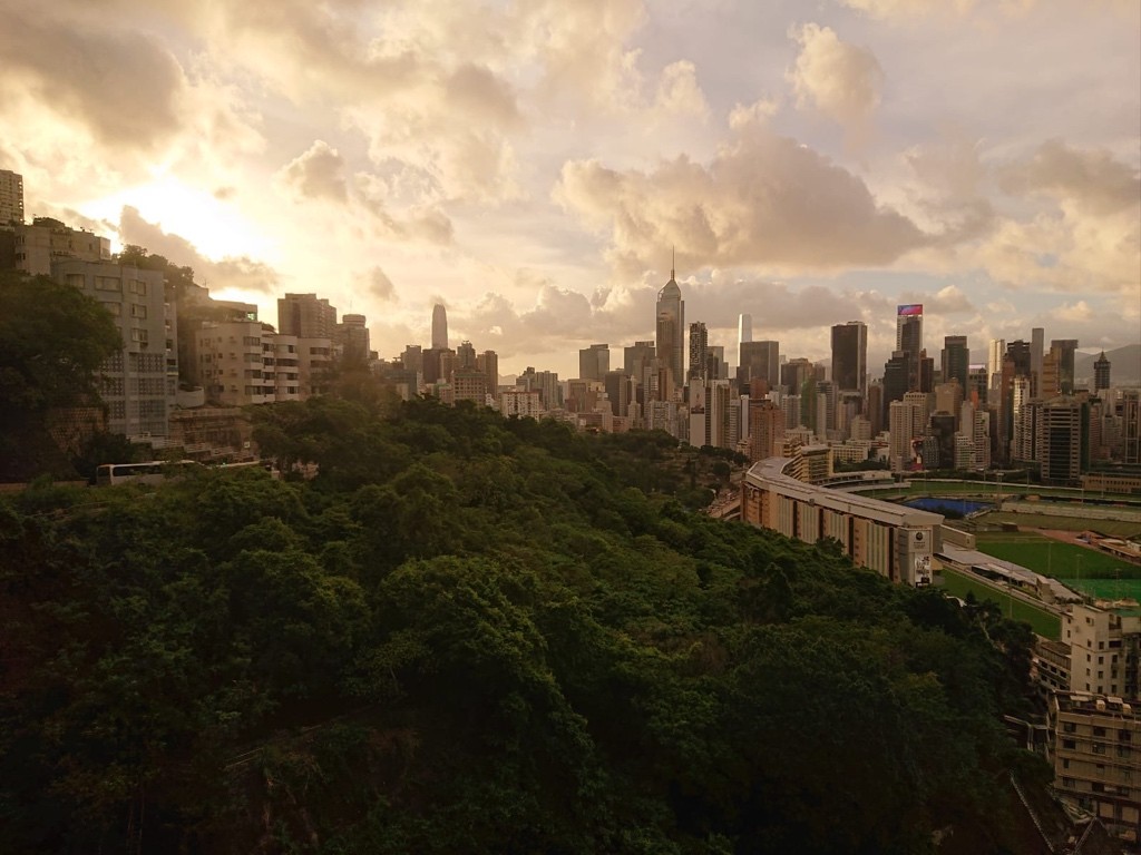 全新裝修 全新冷氣 可包家電 12 名校網  新地名廈 - 跑馬地 - 住宅 (整間出租) - Homates 香港