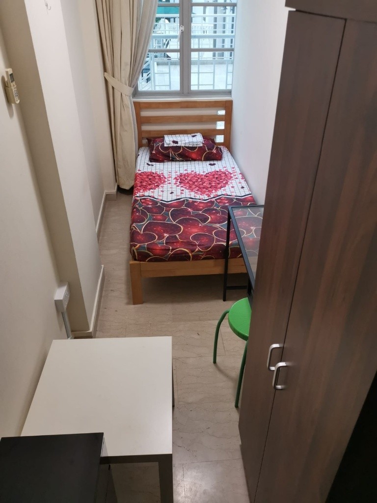 Room For Rent - Pinetree Condominium - Bukit Timah 武吉知馬 - 整个住家 - Homates 新加坡