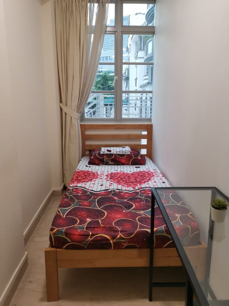 Room For Rent - Pinetree Condominium - Bukit Timah 武吉知馬 - 整个住家 - Homates 新加坡