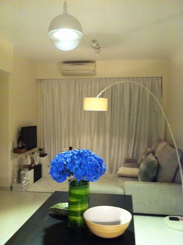 Stylish Apartment near HKU MTR/Sai Ying Pun MTR - 西區 - 住宅 (整間出租) - Homates 香港