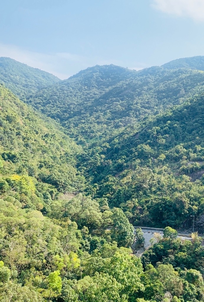 免佣金月租$4000傢俬設施齊清靜向南全山景四窗單人房出租 - 沙田/火炭 - 房間 (合租／分租) - Homates 香港