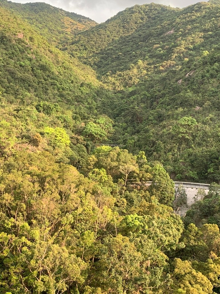 免佣金月租$4000傢俬設施齊清靜向南全山景四窗單人房出租 - 沙田/火炭 - 房間 (合租／分租) - Homates 香港