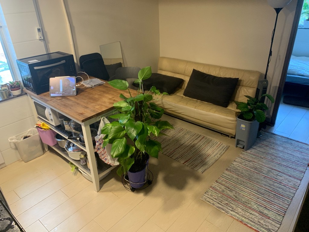 Quiet, by the nature but in the city flatshare. - 鲗鱼涌 - 住宅 (整间出租) - Homates 香港