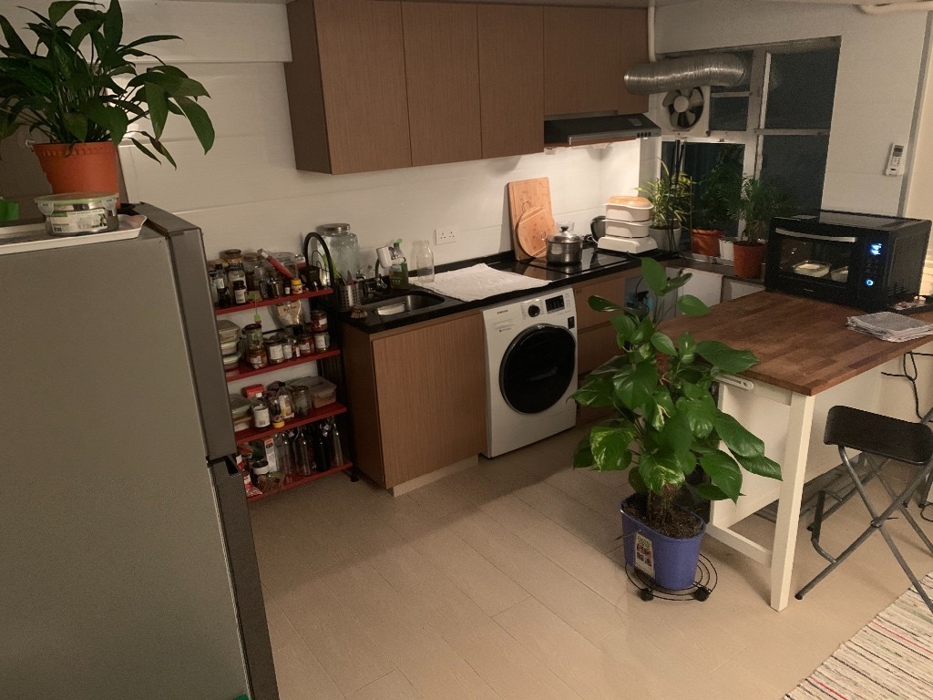Quiet, by the nature but in the city flatshare. - 鲗鱼涌 - 住宅 (整间出租) - Homates 香港