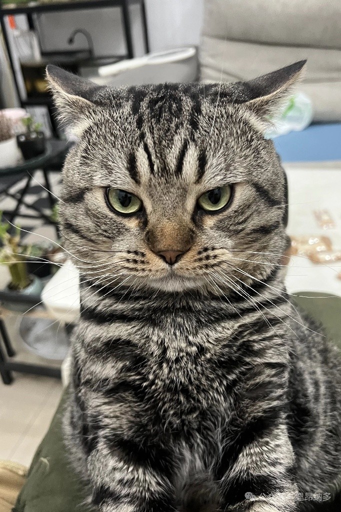 合單身或學生居住 - 屯門 - 房間 (合租／分租) - Homates 香港