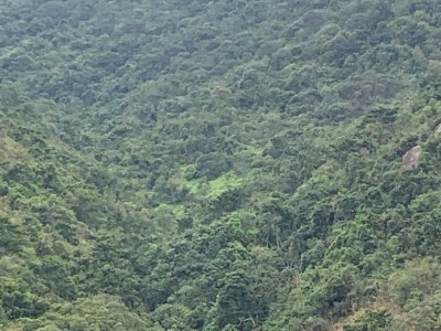 Hong Kong -  - 小瀝源路68號廣材苑C座高層