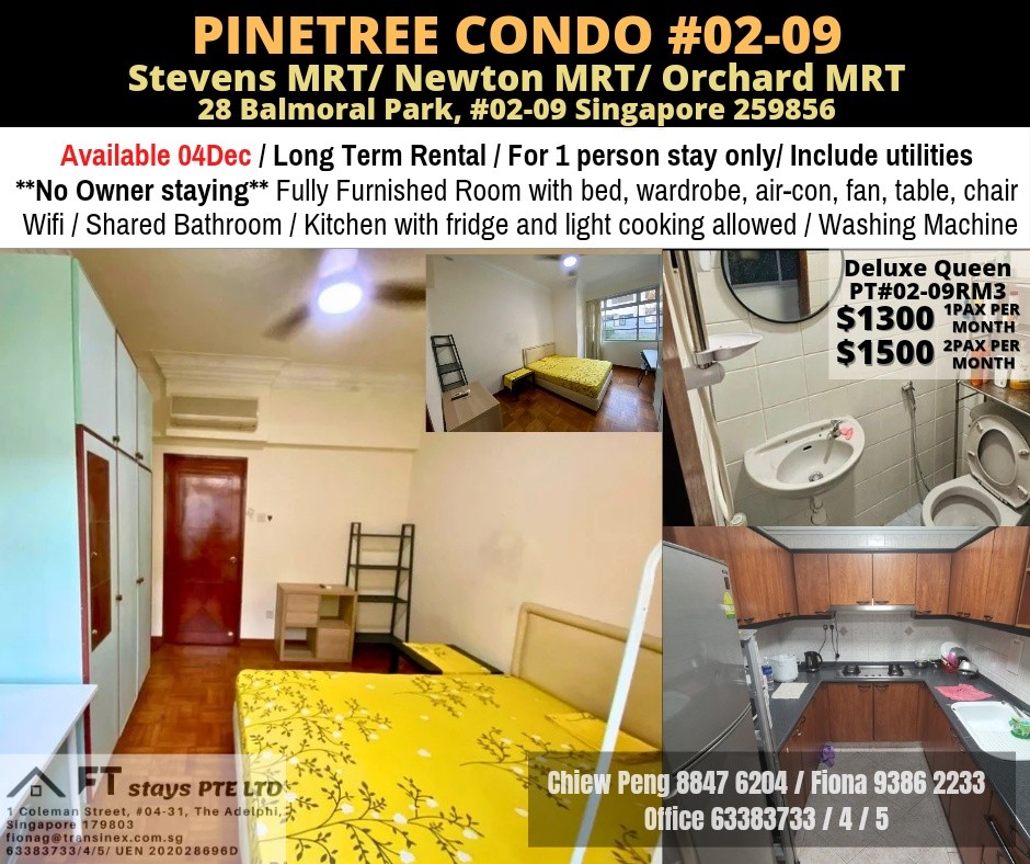 Near Newton MRT/Near Orchard MRT/Stevens MRT - Common Room for Rent 1-2 Pax, Pinetree Condo, Available 4 De - Stevens 史蒂芬 - 分租房間 - Homates 新加坡