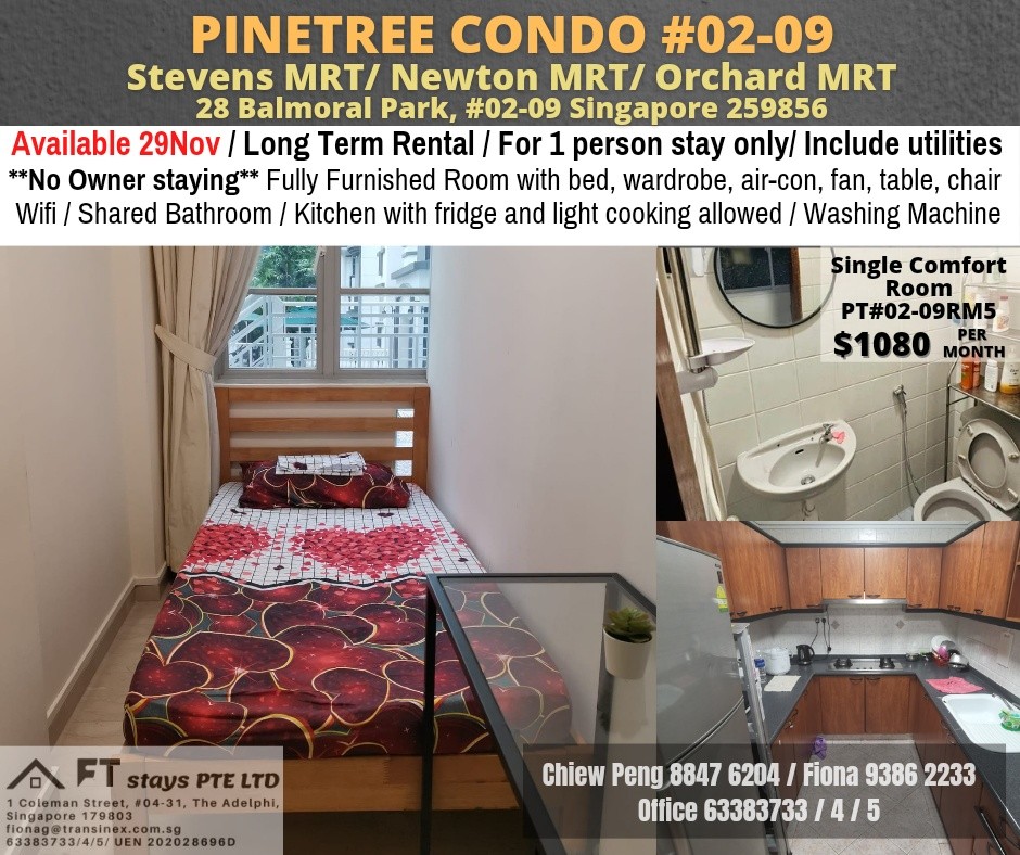 Newton MRT/Near Orchard MRT/Stevens MRT - Common Room 1 Pax, Pinetree Condo, Available 29 Nov, Property, Rentals, Room Rentals on Carousell - Stevens 史蒂芬 - 分租房間 - Homates 新加坡