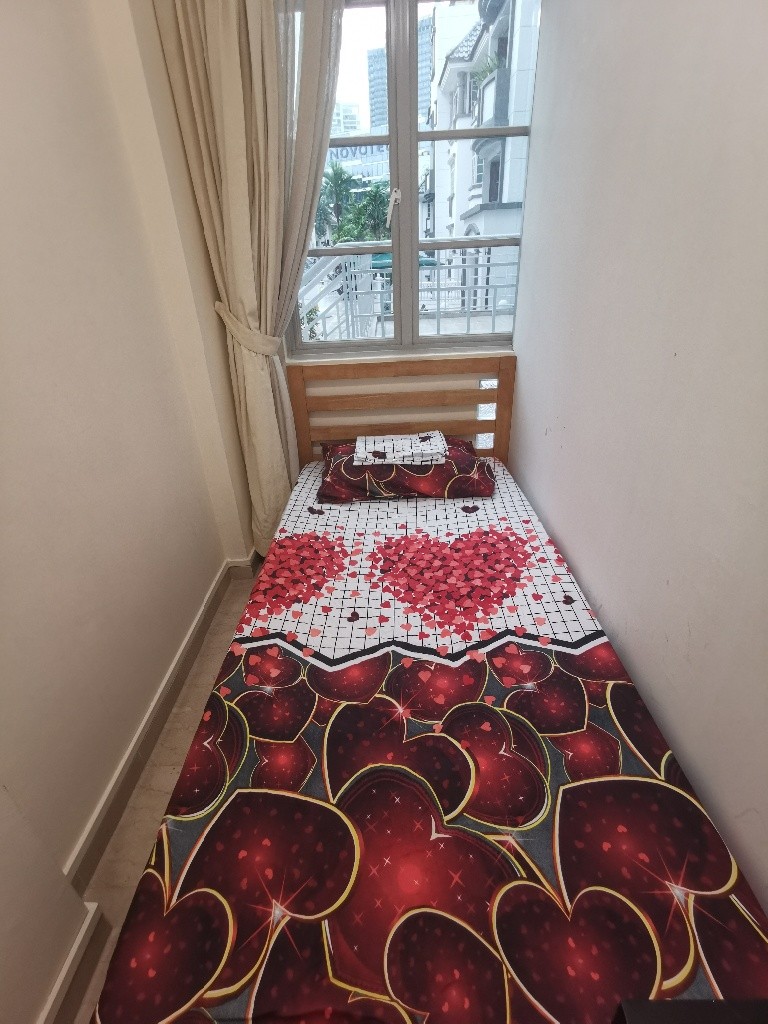 Newton MRT/Near Orchard MRT/Stevens MRT - Common Room 1 Pax, Pinetree Condo, Available 29 Nov, Property, Rentals, Room Rentals on Carousell - Stevens 史蒂芬 - 分租房間 - Homates 新加坡