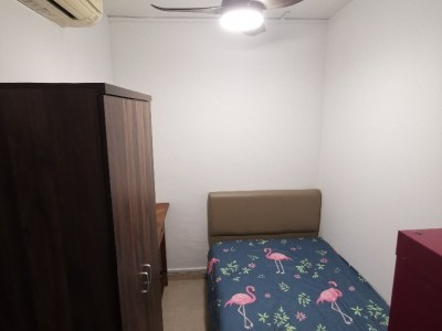 Room For Rent - BALESTIER POINT - Balestier Point , 279 Balestier Road