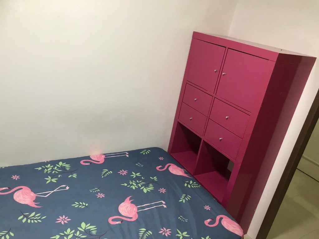 Room For Rent - BALESTIER POINT - Novena 诺维娜 - 分租房间 - Homates 新加坡