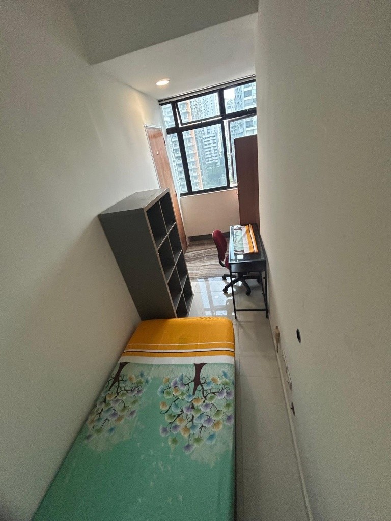Room For Rent - BALESTIER PLAZA - Novena 诺维娜 - 整个住家 - Homates 新加坡
