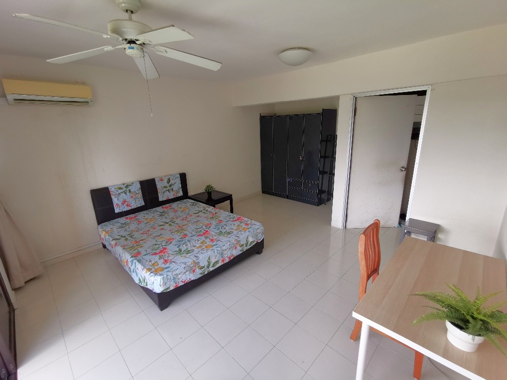Common Room / Near Clementi, Dover &amp; Buona Vista MRT / 1 Pax Stay / Available 3 Nov / No Owner Stay - Bukit Timah 武吉知馬 - 整个住家 - Homates 新加坡