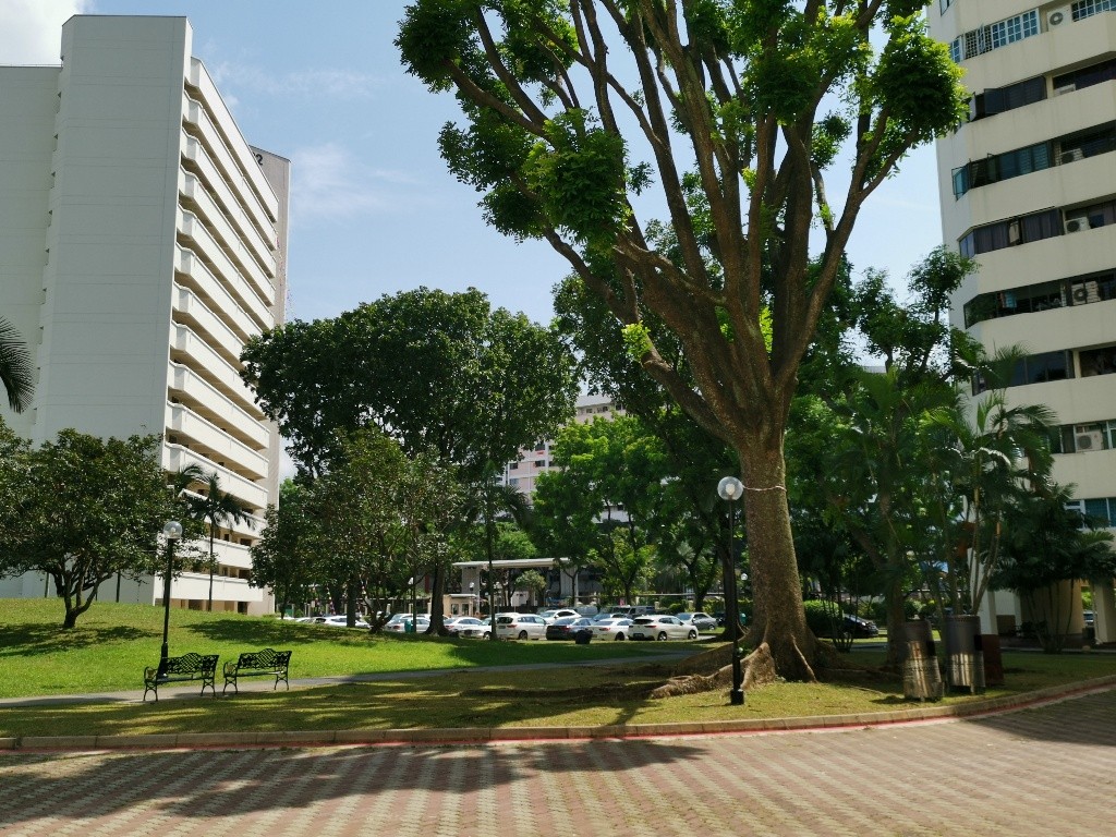 Chinese Garden MRT/Jurong East MRT - Ivory Height - Jurong East 裕廊东 - 整个住家 - Homates 新加坡
