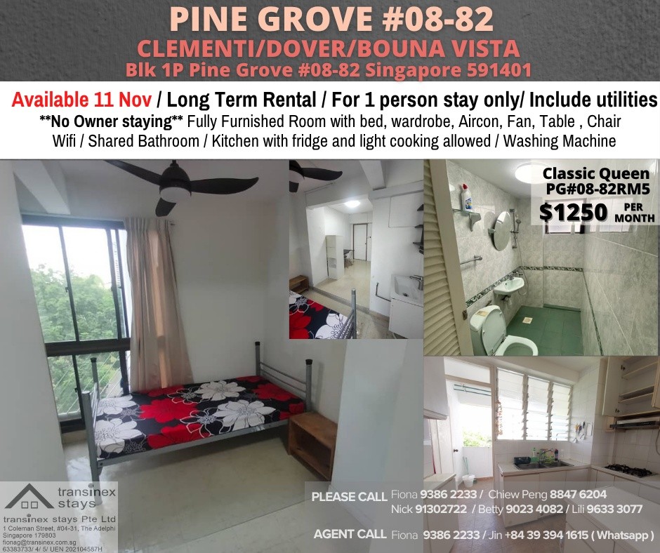 Near Clementi MRT/Dover MRT/ 1P Pine Grove/ AVAILABLE 11 Nov - Bukit Timah 武吉知馬 - 整个住家 - Homates 新加坡