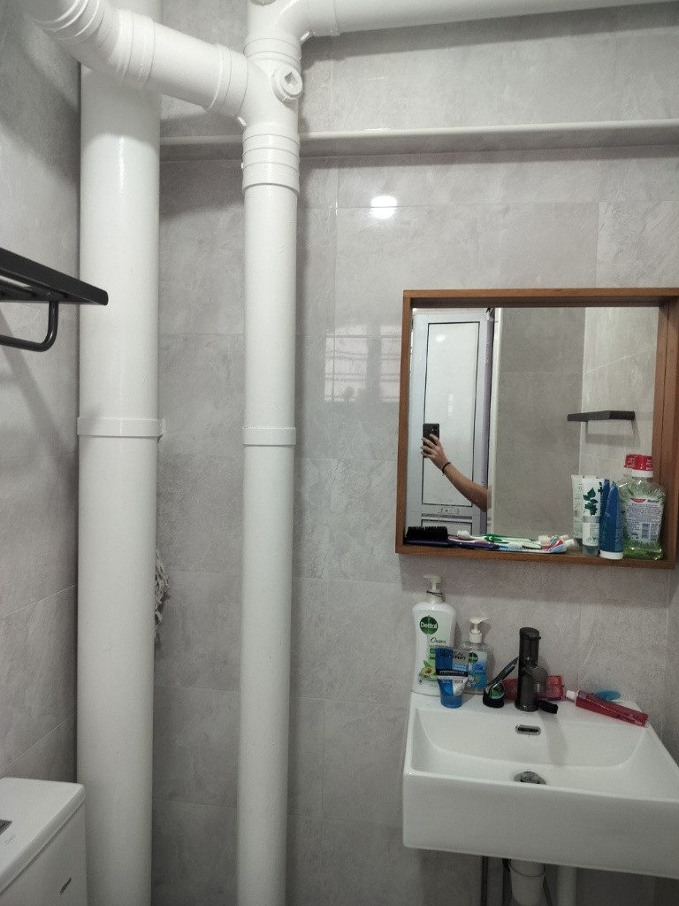 FEMALE ONLY, SOLO COMMON ROOM FOR RENT - Bishan 碧山 - 整個住家 - Homates 新加坡