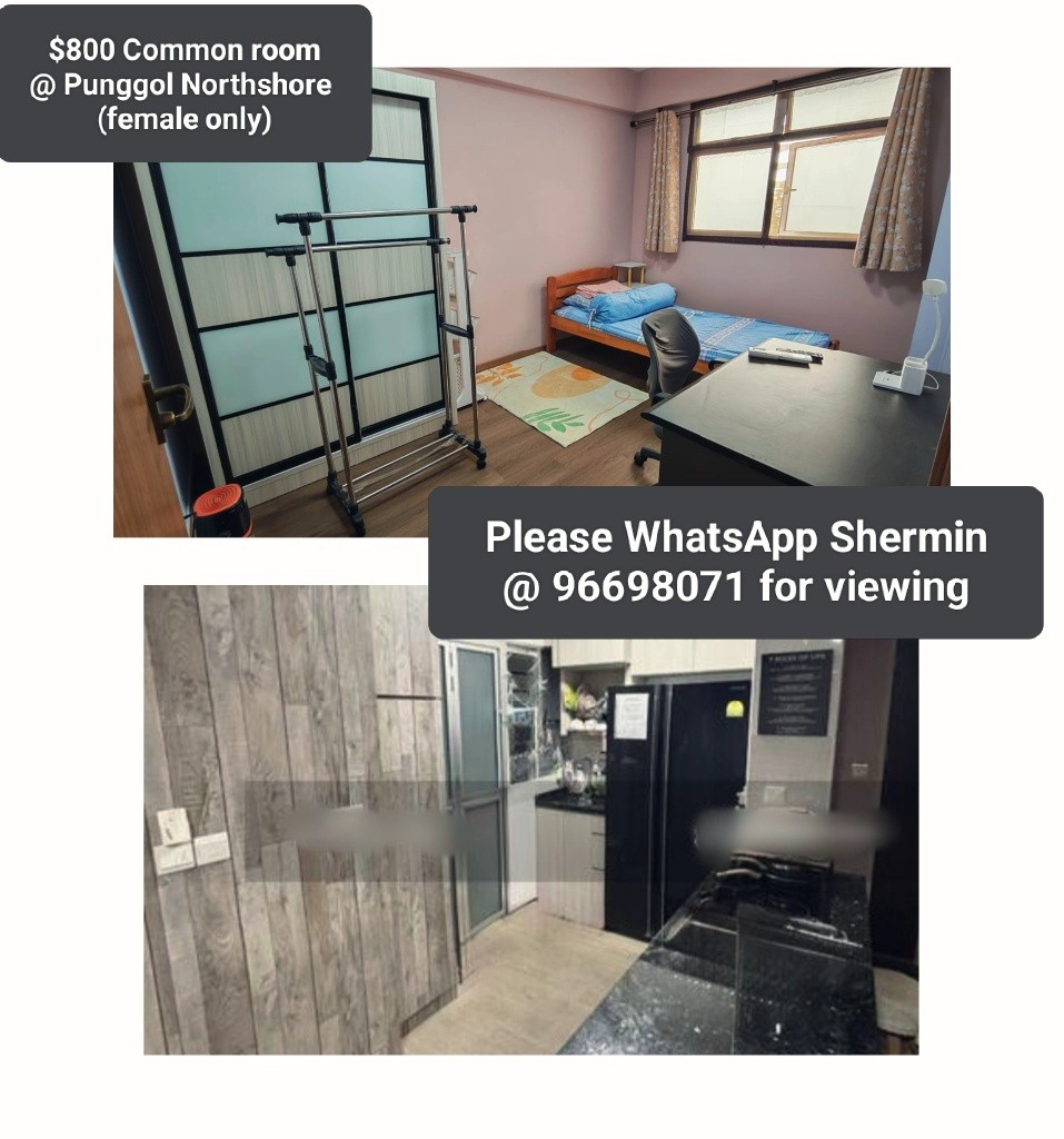 $800 Common room @ Punggol Northshore  - Punggol - Flat - Homates Singapore
