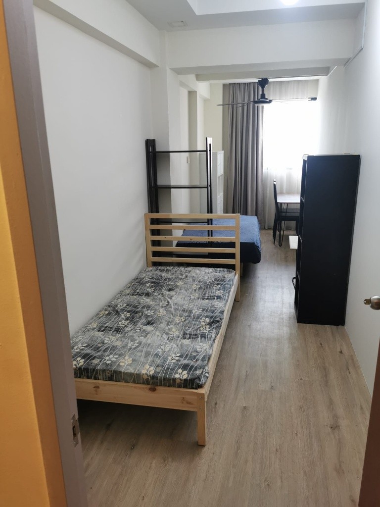 Common Room for Rent/ 547A Balestier Road, Singapore 329863/ Available Immediate - Novena 诺维娜 - 整个住家 - Homates 新加坡