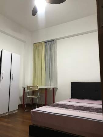 Room for rent /Summer Green/Common room/1 pax/Available Immediately - Toa Payoh 大巴窯 - 分租房間 - Homates 新加坡