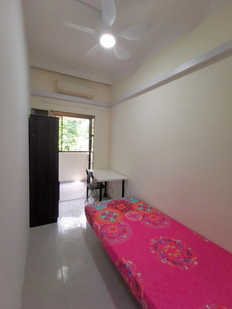 Room for rent / ORCHARD / River valley / Classic room / 1pax stay / Available Immediately - Orchard - Flat - Homates Singapore