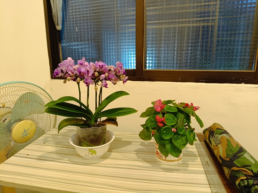 找室友 - Sanchong - Bedroom - Homates Taiwan
